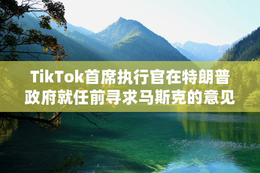 TikTok首席执行官在特朗普政府就任前寻求马斯克的意见