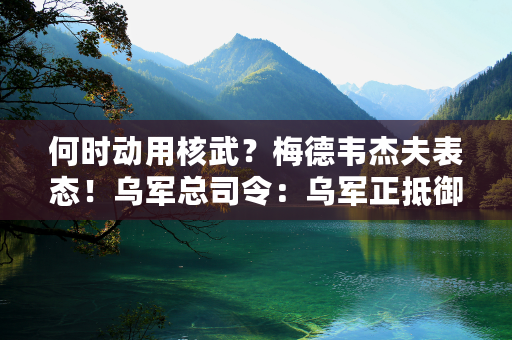 何时动用核武？梅德韦杰夫表态！乌军总司令：乌军正抵御俄军最强大一轮攻势