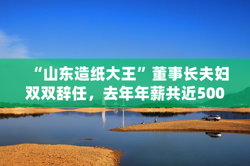 “山东造纸大王”董事长夫妇双双辞任，去年年薪共近500万元，妻弟仍任副总经理