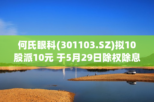 何氏眼科(301103.SZ)拟10股派10元 于5月29日除权除息