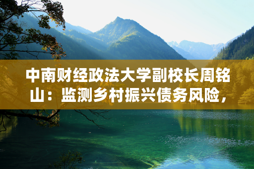 中南财经政法大学副校长周铭山：监测乡村振兴债务风险，建立乡村债务风险防控机制