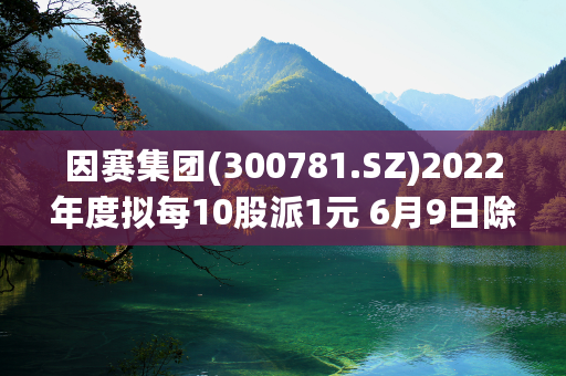 因赛集团(300781.SZ)2022年度拟每10股派1元 6月9日除权除息