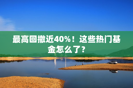 最高回撤近40%！这些热门基金怎么了？