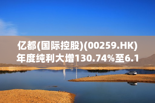 亿都(国际控股)(00259.HK)年度纯利大增130.74%至6.15亿港元  电容器业务表现卓越