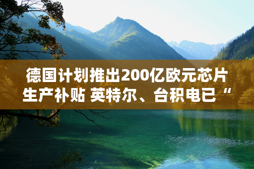 德国计划推出200亿欧元芯片生产补贴 英特尔、台积电已“锁定”75%资金