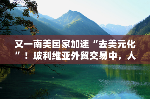 又一南美国家加速“去美元化”！玻利维亚外贸交易中，人民币占比已经提升至10%