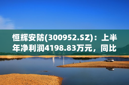 恒辉安防(300952.SZ)：上半年净利润4198.83万元，同比下降3.43% 拟10派0.4元