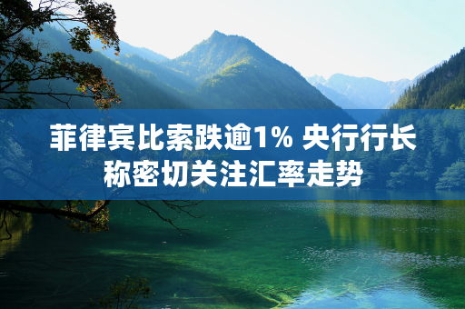 菲律宾比索跌逾1% 央行行长称密切关注汇率走势