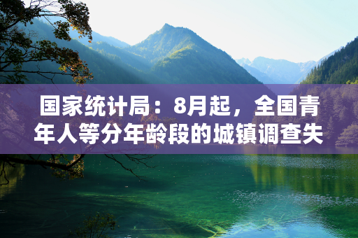 国家统计局：8月起，全国青年人等分年龄段的城镇调查失业率将暂停发布