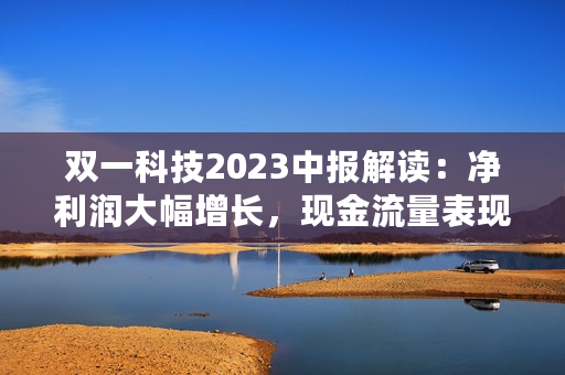 双一科技2023中报解读：净利润大幅增长，现金流量表现亮眼