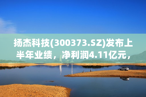 扬杰科技(300373.SZ)发布上半年业绩，净利润4.11亿元，同比减少30.05%