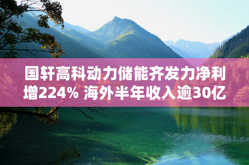 国轩高科动力储能齐发力净利增224% 海外半年收入逾30亿加速全球布局