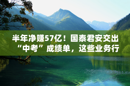 半年净赚57亿！国泰君安交出“中考”成绩单，这些业务行业领先