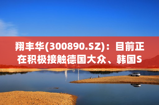 翔丰华(300890.SZ)：目前正在积极接触德国大众、韩国SKI、日本松下等国际知名锂电池企业