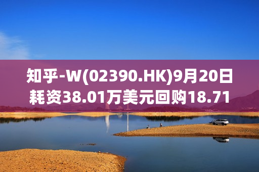 知乎-W(02390.HK)9月20日耗资38.01万美元回购18.71万股