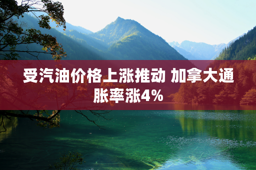 受汽油价格上涨推动 加拿大通胀率涨4%