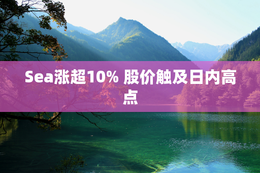 Sea涨超10% 股价触及日内高点