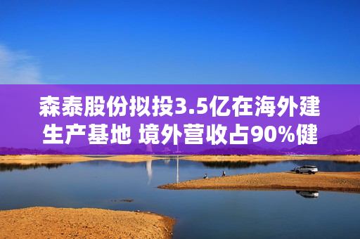 森泰股份拟投3.5亿在海外建生产基地 境外营收占90%健全渠道提高市占率