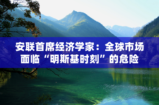 安联首席经济学家：全球市场面临“明斯基时刻”的危险