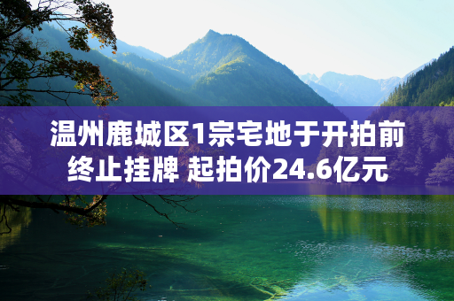 温州鹿城区1宗宅地于开拍前终止挂牌 起拍价24.6亿元