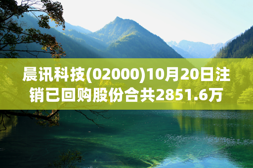 晨讯科技(02000)10月20日注销已回购股份合共2851.6万股