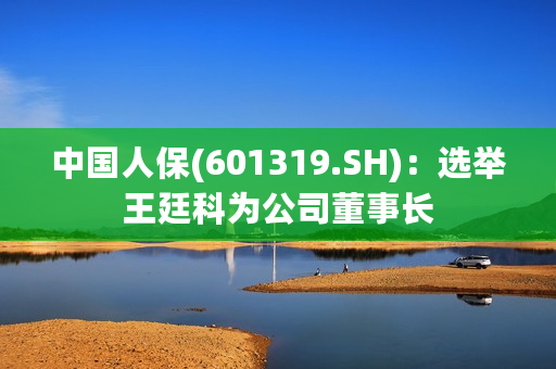 中国人保(601319.SH)：选举王廷科为公司董事长