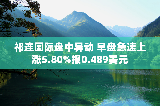 祁连国际盘中异动 早盘急速上涨5.80%报0.489美元