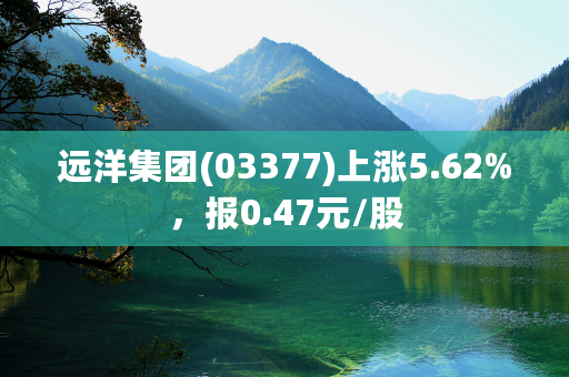 远洋集团(03377)上涨5.62%，报0.47元/股