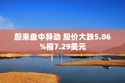 蔚来盘中异动 股价大跌5.06%报7.29美元