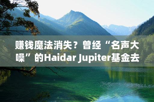 赚钱魔法消失？曾经“名声大噪”的Haidar Jupiter基金去年暴跌43.5%