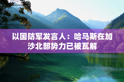 以国防军发言人：哈马斯在加沙北部势力已被瓦解