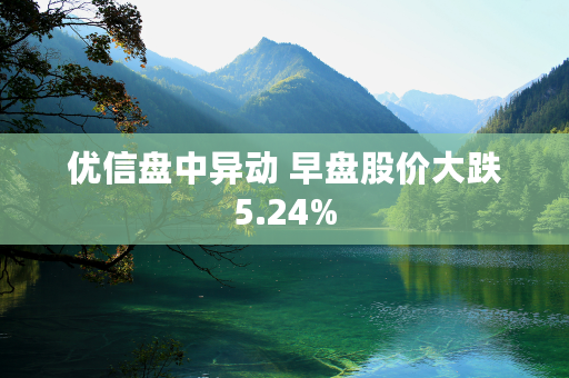 优信盘中异动 早盘股价大跌5.24%