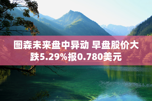 图森未来盘中异动 早盘股价大跌5.29%报0.780美元