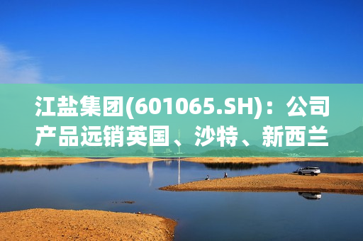 江盐集团(601065.SH)：公司产品远销英国、沙特、新西兰、阿联酋及东南亚等国家和地区