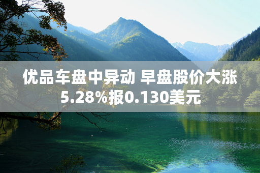 优品车盘中异动 早盘股价大涨5.28%报0.130美元