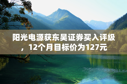 阳光电源获东吴证券买入评级，12个月目标价为127元