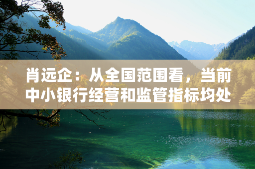 肖远企：从全国范围看，当前中小银行经营和监管指标均处于合理健康水平