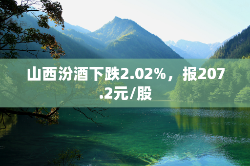 山西汾酒下跌2.02%，报207.2元/股