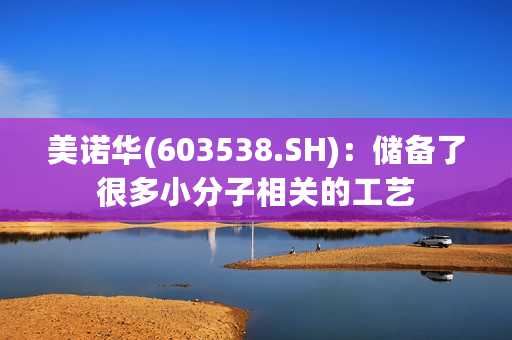 美诺华(603538.SH)：储备了很多小分子相关的工艺