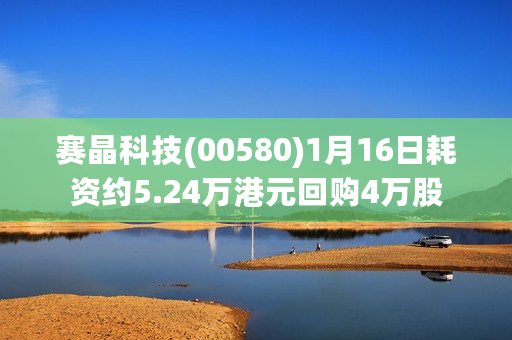 赛晶科技(00580)1月16日耗资约5.24万港元回购4万股