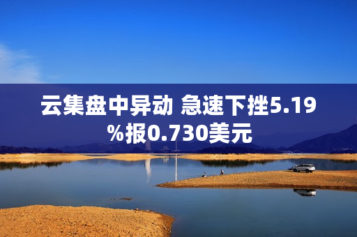 云集盘中异动 急速下挫5.19%报0.730美元