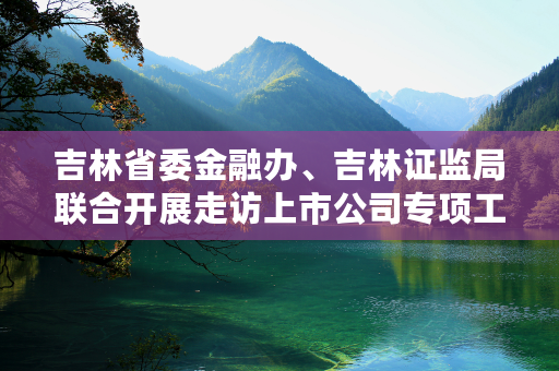 吉林省委金融办、吉林证监局联合开展走访上市公司专项工作