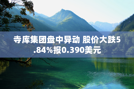 寺库集团盘中异动 股价大跌5.84%报0.390美元