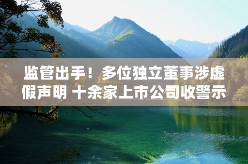 监管出手！多位独立董事涉虚假声明 十余家上市公司收警示函