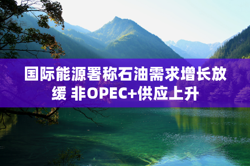 国际能源署称石油需求增长放缓 非OPEC+供应上升