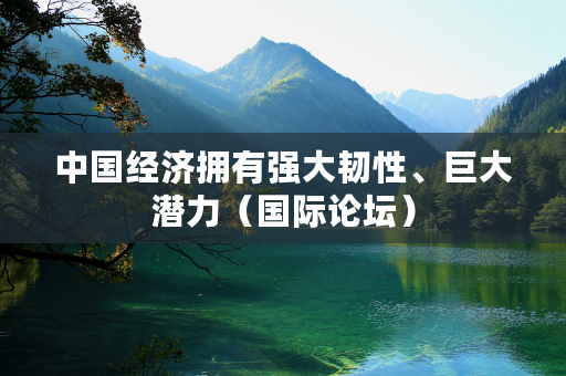 中国经济拥有强大韧性、巨大潜力（国际论坛）