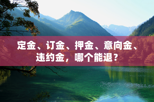 定金、订金、押金、意向金、违约金，哪个能退？