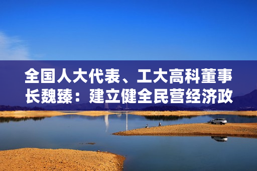 全国人大代表、工大高科董事长魏臻：建立健全民营经济政策绩效考核机制