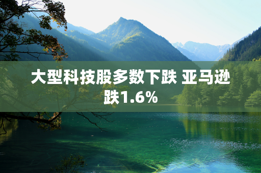 大型科技股多数下跌 亚马逊跌1.6%