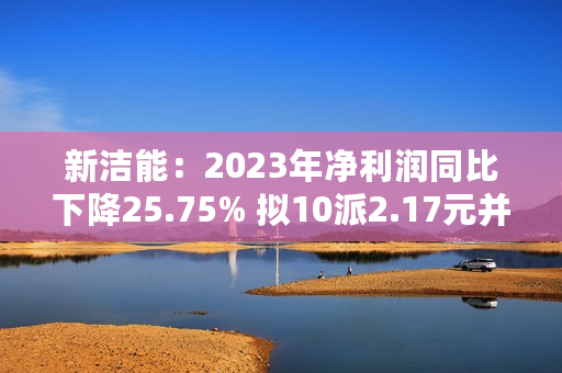 新洁能：2023年净利润同比下降25.75% 拟10派2.17元并转增4股